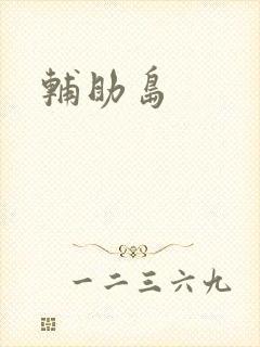 辅助岛