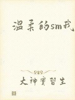 温柔的sm我