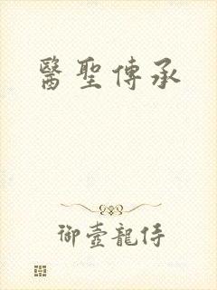 医圣传承封面