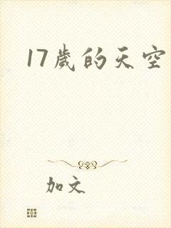 17岁的天空