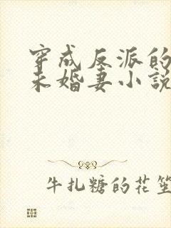 穿成反派的作死未婚妻小说