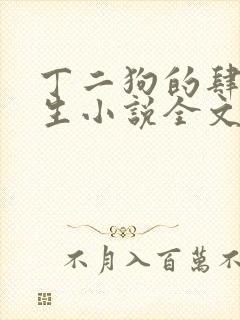 丁二狗的肆意人生小说全文无删减封面