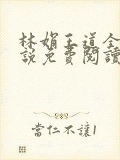 林娟王道全集小说免费阅读