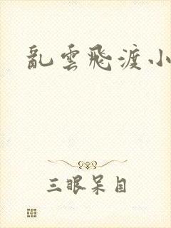 乱云飞渡小说