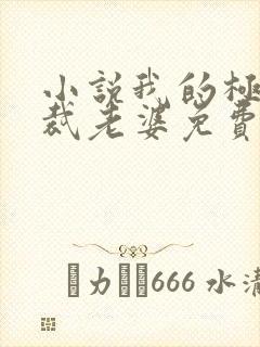 小说我的极品总裁老婆免费阅读全文