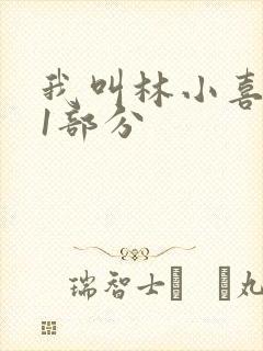 我叫林小喜全文1部分