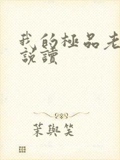我的极品老婆小说读