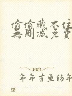 偷偷藏不住全文无删减免费阅读