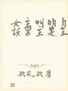 女主叫明月的小说男主是王爷