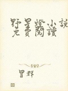 野星灯小说全文免费阅读