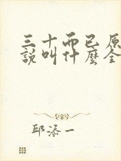 三十而已原著小说叫什么全文阅读