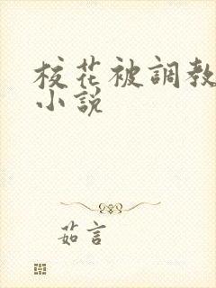 校花被调教高h小说封面
