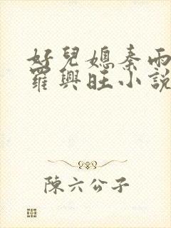 好儿媳秦雨罗明罗兴旺小说