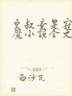 皇叔竟是宠妻狂魔小说全文免费阅读封面