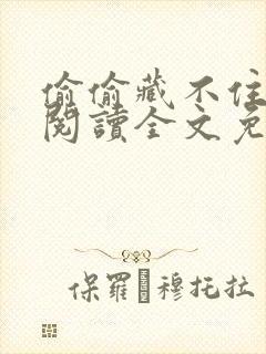 偷偷藏不住在线阅读全文免费封面