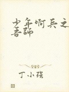 少年啊兵之吾爱吾师封面