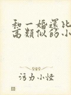 和一婚还比一婚高类似的小说封面