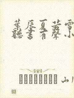 叶辰夏若雪孙怡听书有声小说