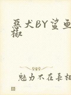 恶犬BY鲨鱼辣椒