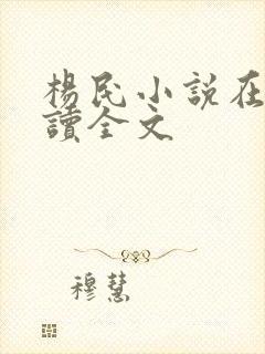 杨民小说在线阅读全文
