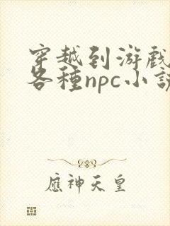 穿越到游戏里和各种npc小说