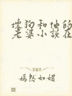 坏狗和他的可爱老婆小说在线阅读全文封面