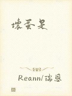 坏蛋是