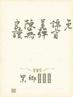 良陈美锦免费阅读无弹窗封面