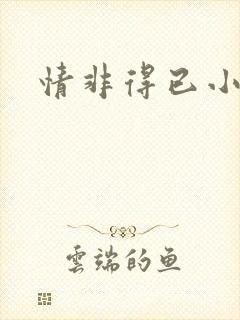 情非得已小说