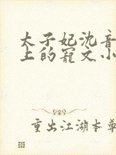 太子妃沈音和皇上的宠文小说
