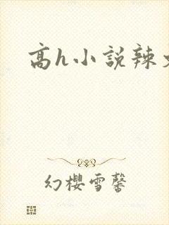高h小说辣文