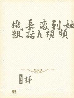 机长脔到她哭h粗话h视频
