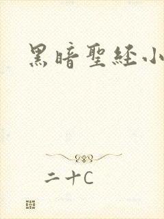 黑暗圣经小说