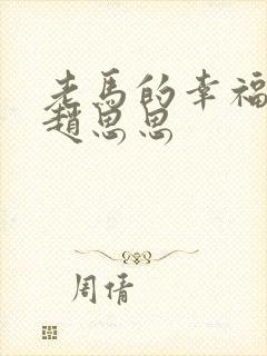 老马的幸福生活赵思思