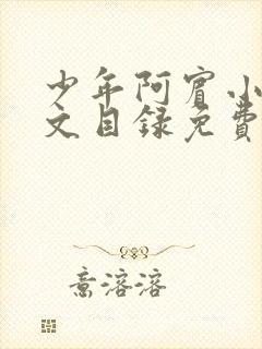 少年阿宾小说全文目录免费阅读无弹窗