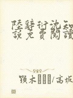 陆辞衍沈知语小说免费阅读封面