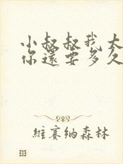 小叔叔我太累了你还要多久