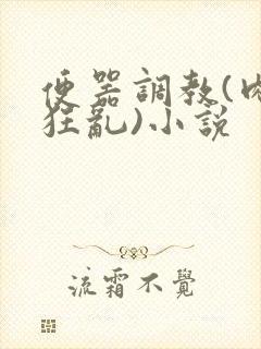便器调教(肉体狂乱)小说