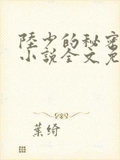 陆少的秘密恋人小说全文免费阅读无弹窗