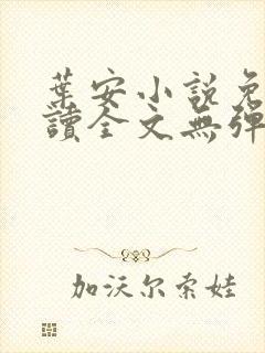 叶安小说免费阅读全文无弹窗