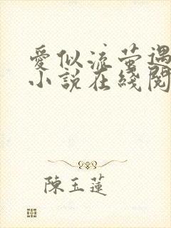 爱似流萤遇繁星小说在线阅读