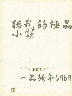 听我的极品老婆小说