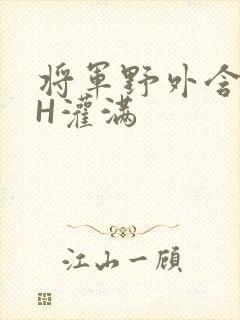 将军野外含公主H灌满封面