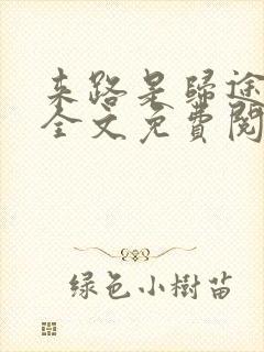 来路是归途小说全文免费阅读封面