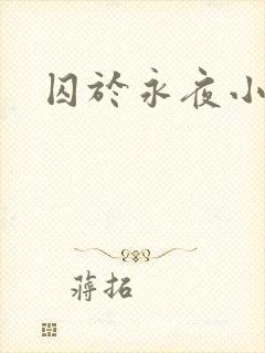 囚于永夜小说封面