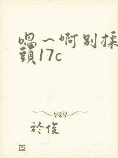 嗯～啊别揉我奶头17c