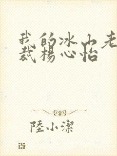 我的冰山老婆总裁杨心怡