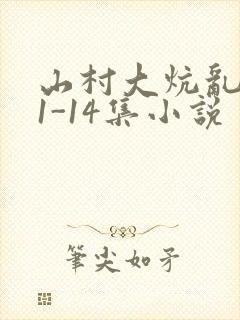 山村大炕乱肉续1-14集小说封面