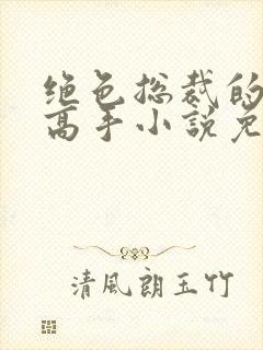 绝色总裁的超级高手小说免费阅读app封面