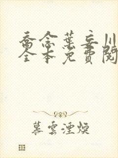 乔念叶妄川小说全本免费阅读最新